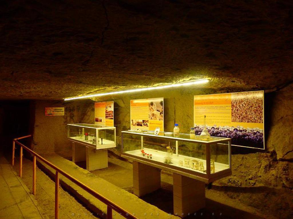 149 MUSEE DU CHAMPIGNON A  SAUMUR 2016 2_000038.jpg
